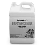 Invincible Cleaner 30 Gallon Drum