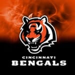 Cincinnati Bengals Dye Sub NFL Towel